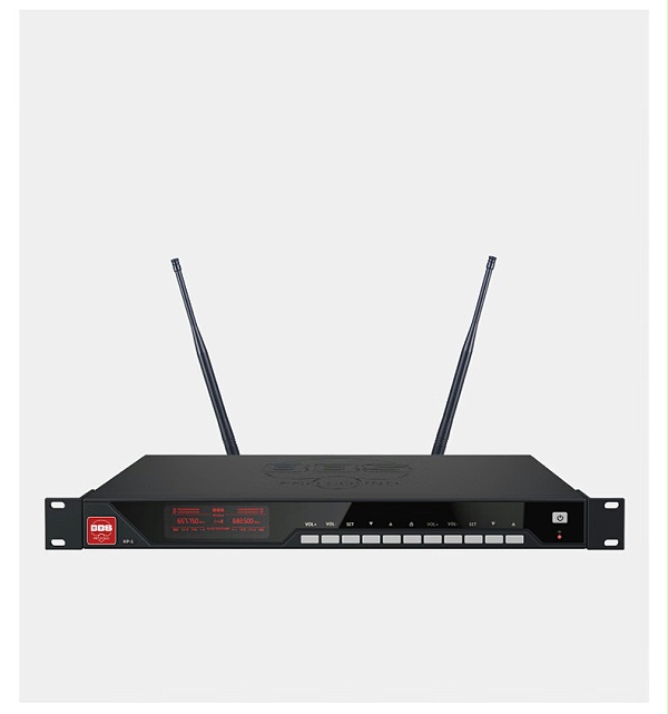 BBS娛樂話筒 HP-1 一拖二無線話筒 專業(yè)無線麥克風(fēng) 真分集話筒 舞臺(tái)演出會(huì)議婚慶主持2