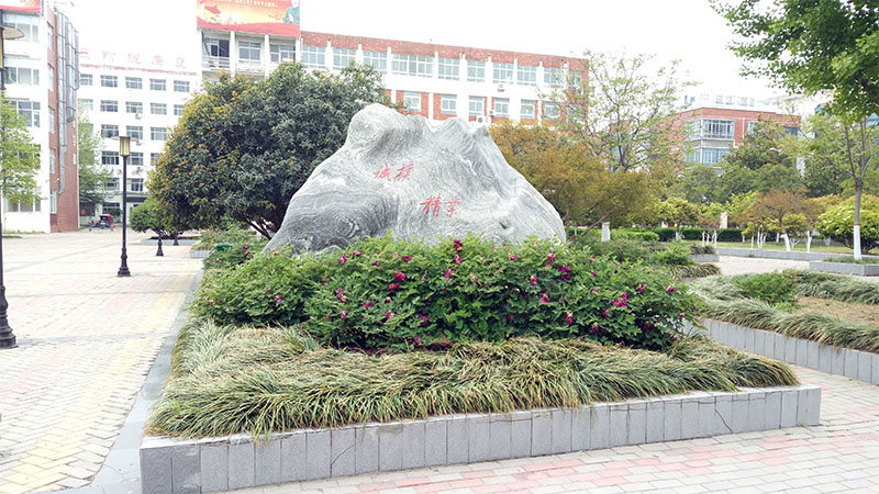 漯河醫(yī)專會議室音視頻系統(tǒng)由PRS打造