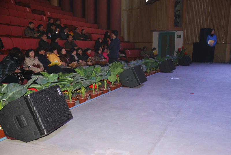 舞臺擴聲工作中遇到的問題及處理方法